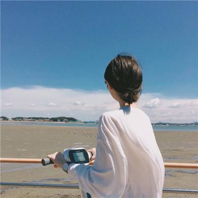 最后的前哨汉化破解版下载